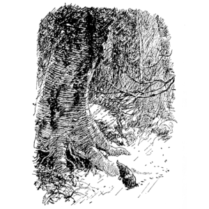 EH Shepard Wind in the Willows illustration of Mole lost in the Wild Wood