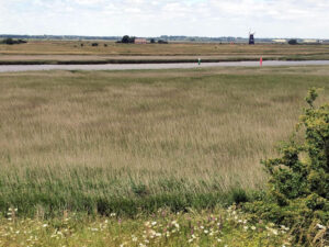 Photo of view from Burgh Castle over marshes to windmill