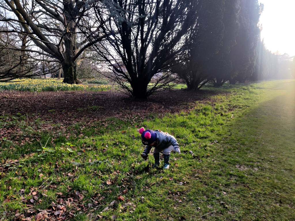 Photo of a Christmas walk at Fritton Lake lodge